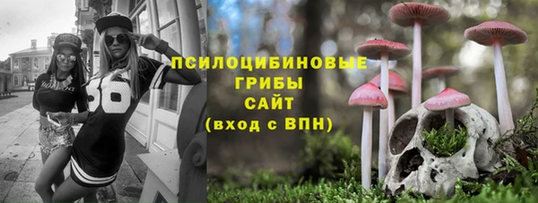 PSILOCYBIN Алзамай