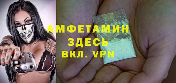 PSILOCYBIN Алзамай